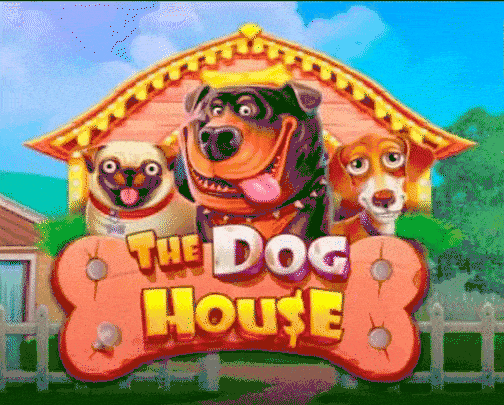 play The Dog House in spinorhino casino